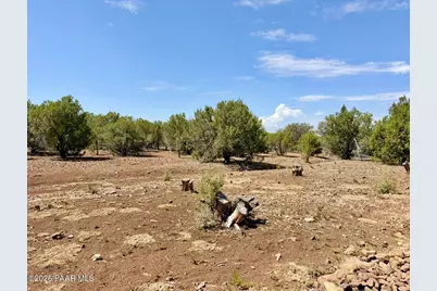17169 Beale Wagon Road, Seligman, AZ 86337 - Photo 52