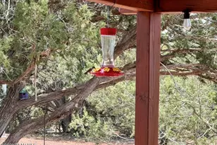 17169 Beale Wagon Rd, Seligman, AZ 86337 - Photo 42