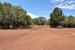 17169 Beale Wagon Rd, Seligman, AZ 86337 - Photo 48