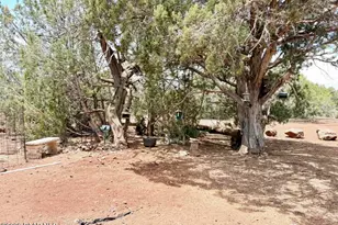 17169 Beale Wagon Rd, Seligman, AZ 86337 - Photo 46