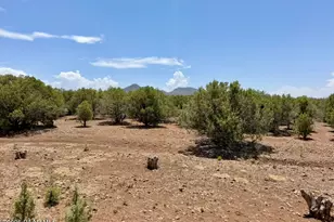17169 Beale Wagon Rd, Seligman, AZ 86337 - Photo 50
