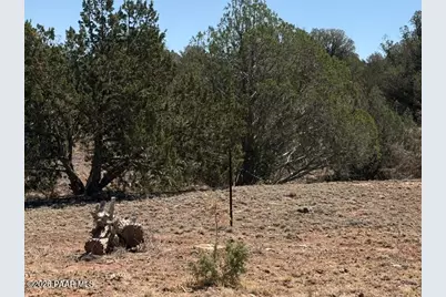 56385 N Bridge Canyon Parkway, Seligman, AZ 86337 - Photo 10