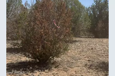 56385 N Bridge Canyon Parkway, Seligman, AZ 86337 - Photo 2