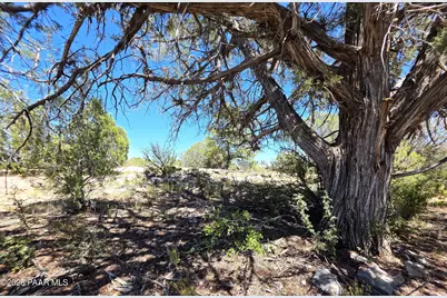 3200 W Poppy Road, Ash Fork, AZ 86320 - Photo 16