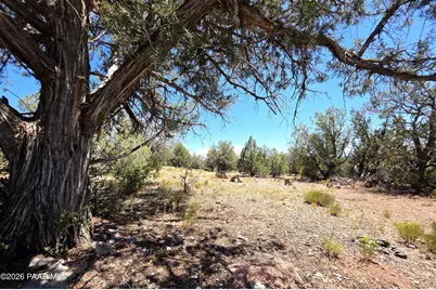 3200 W Poppy Road, Ash Fork, AZ 86320 - Photo 14
