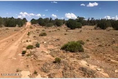 31440 W Thorwood Drive, Seligman, AZ 86337 - Photo 2