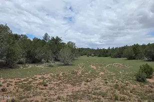 0 N Halcon Ln, Seligman, AZ 86337 - Photo 1