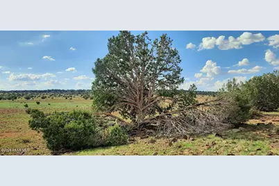Xxxx N Stone Lake Blvd, Williams, AZ 86046 - Photo 18