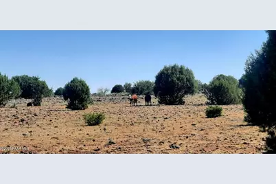Xxxx E Martinez Rd, Williams, AZ 86046 - Photo 20