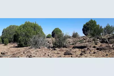 Xxxx E Martinez Rd, Williams, AZ 86046 - Photo 4