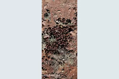 Xxxx E Martinez Rd, Williams, AZ 86046 - Photo 10