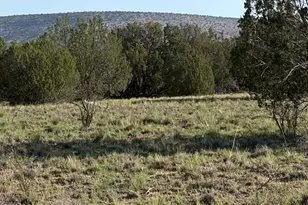25840 W Granada Rd, Seligman, AZ 86337 - Photo 1