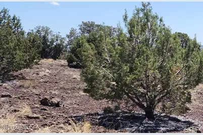 4476 W Northview Boulevard, Williams, AZ 86046 - Photo 2