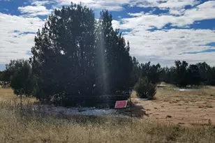 4476 W Northview Blvd, Williams, AZ 86046 - Photo 1
