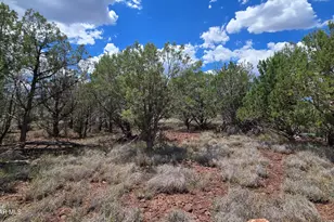 2470 N Luana Dr, Williams, AZ 86046 - Photo 1