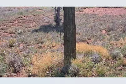 2470 N Luana Drive, Williams, AZ 86046 - Photo 4