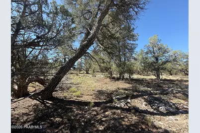 32506 W Shadow Mountain Circle, Seligman, AZ 86337 - Photo 8