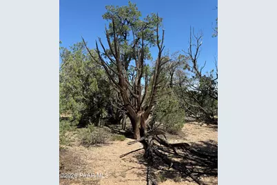 32506 W Shadow Mountain Circle, Seligman, AZ 86337 - Photo 10