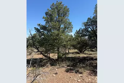 32506 W Shadow Mountain Circle, Seligman, AZ 86337 - Photo 2