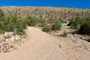 54310 N Paintbrush Ln, Seligman, AZ 86337 - Photo 38