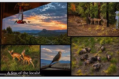 1515 Happy Valley Rd 7.1 Ac, Prescott, AZ 86305 - Photo 40