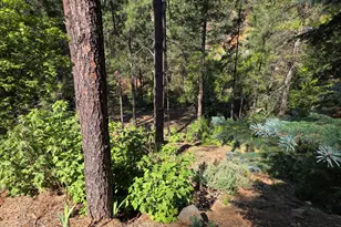 8375 S Breezy Pine Rd, Mayer, AZ 86333 - Photo 52
