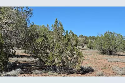 Lot 91 Bernadines Way, Ash Fork, AZ 86320 - Photo 8