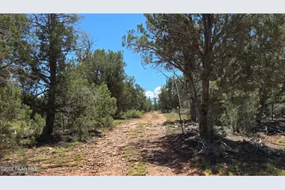 Lot 51 Off Rising Rock Road, Ash Fork, AZ 86320 - Photo 14