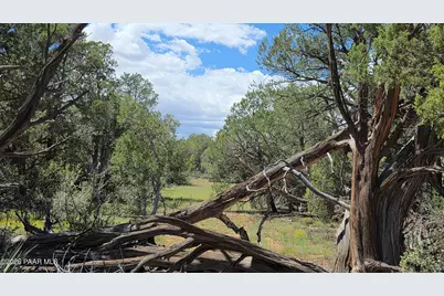 Lot 51 Off Rising Rock Road, Ash Fork, AZ 86320 - Photo 32