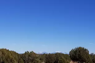 8368 Cortez Ranch Rd, Seligman, AZ 86337 - Photo 2