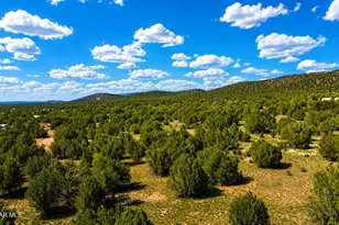 101 W Highland St, Williams, AZ 86046 - Photo 40