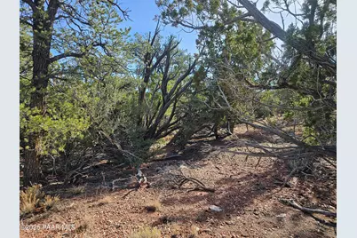 54892 N Potrero Lane, Seligman, AZ 86337 - Photo 10