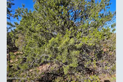 54892 N Potrero Lane, Seligman, AZ 86337 - Photo 20
