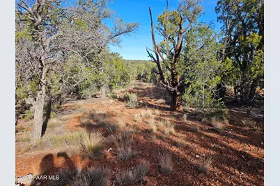 54892 N Potrero Lane, Seligman, AZ 86337 - Photo 8