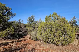 54892 N Potrero Ln, Seligman, AZ 86337 - Photo 1