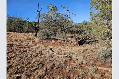 54892 N Potrero Lane, Seligman, AZ 86337 - Photo 2