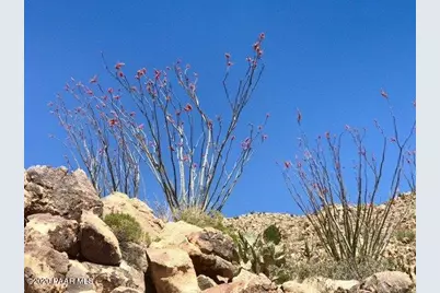 0 S Bent Spur Road, Congress, AZ 85332 - Photo 6