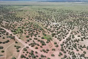 25250 W Medicine Man Trl, Seligman, AZ 86337 - Photo 42
