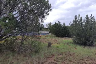 43900 N Anvil Rock Rd, Seligman, AZ 86337 - Photo 48