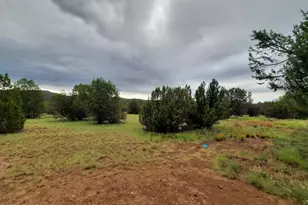 43900 N Anvil Rock Rd, Seligman, AZ 86337 - Photo 50