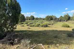 886 SW Westwood Ranch, Williams, AZ 86046 - Photo 1