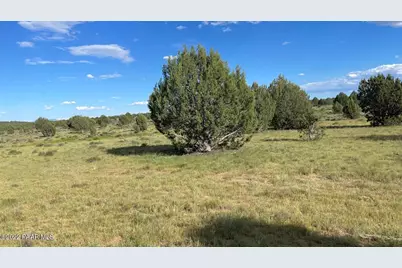886 SW Westwood Ranch, Williams, AZ 86046 - Photo 4