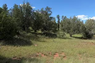 34440 W Potrero Pkwy, Seligman, AZ 86337 - Photo 1