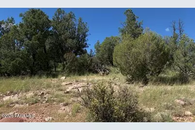 34440 W Potrero Parkway, Seligman, AZ 86337 - Photo 10