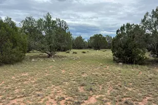 776 W Valley View Blvd, Williams, AZ 86046 - Photo 1