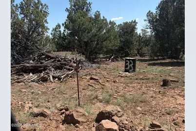 00 NW Nine Shooter Road, Williams, AZ 86046 - Photo 10