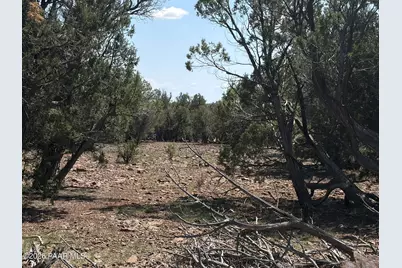 00 NW Nine Shooter Road, Williams, AZ 86046 - Photo 1