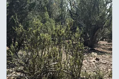 00 NW Nine Shooter Road, Williams, AZ 86046 - Photo 2