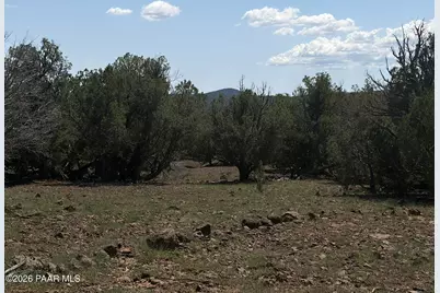 00 NW Nine Shooter Road, Williams, AZ 86046 - Photo 8