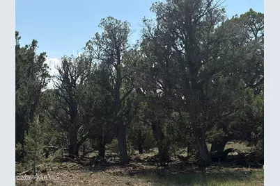 00 NW Nine Shooter Road, Williams, AZ 86046 - Photo 6